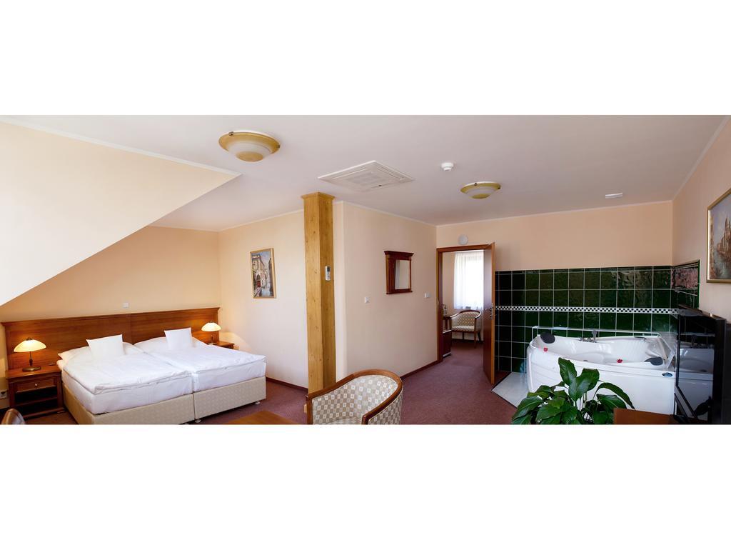 Wellness Hotel Ida Františkovy Lázně 部屋 写真