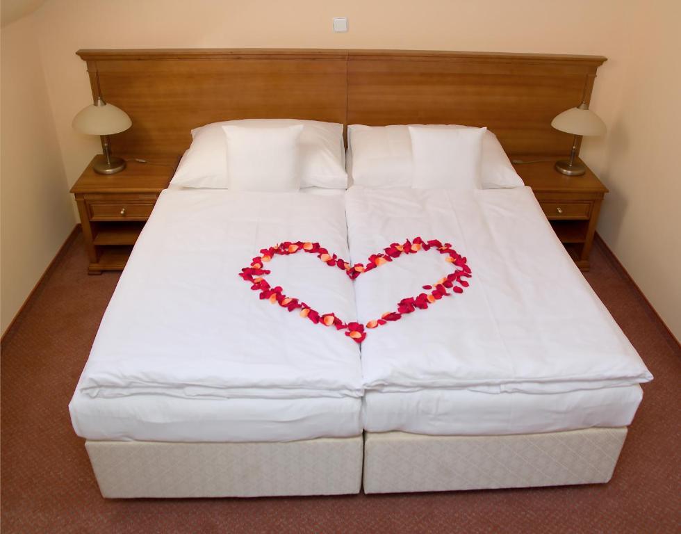 Wellness Hotel Ida Františkovy Lázně 部屋 写真